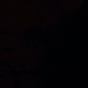 Meet your Posher, Jack